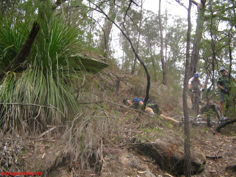 20061126-ONR-Spiders 250 